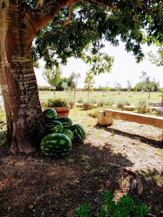 Masseria Cataldo